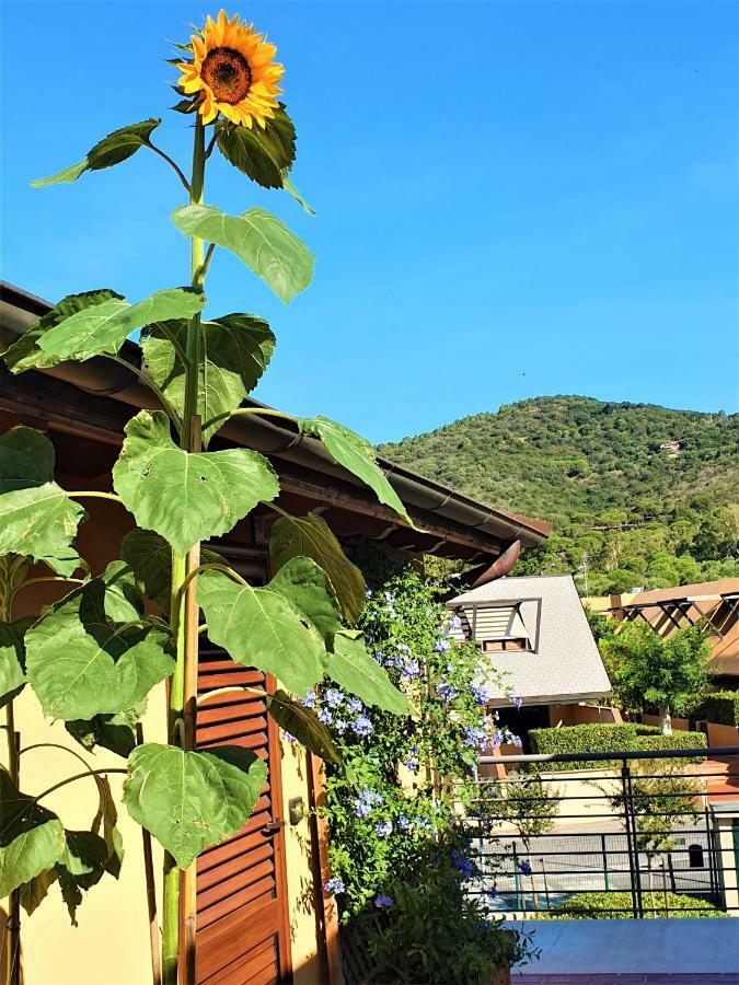 "La Terrazza Di Castiglione" Appartamenti Vacanza Castiglione della Pescaia Εξωτερικό φωτογραφία