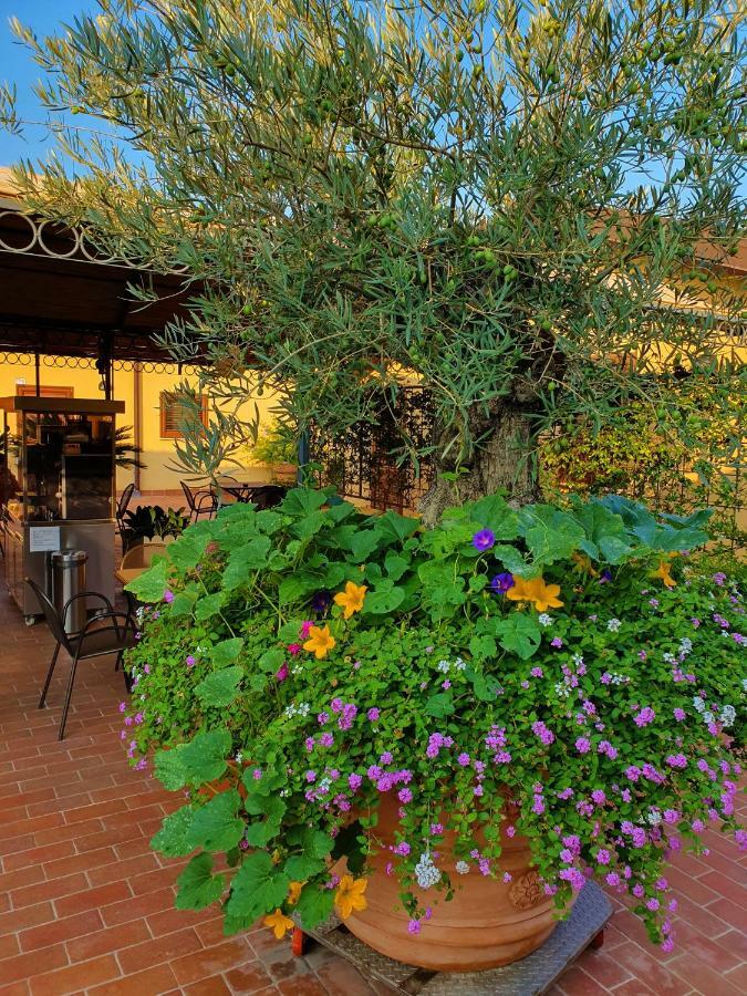 "La Terrazza Di Castiglione" Appartamenti Vacanza Castiglione della Pescaia Εξωτερικό φωτογραφία